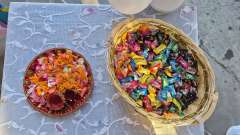 Welcome to new session 2026-27